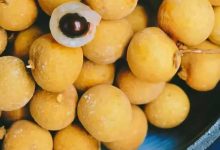 龙眼肉，真的不只是好吃而已！-古方玉灵膏-食疗补血妙方